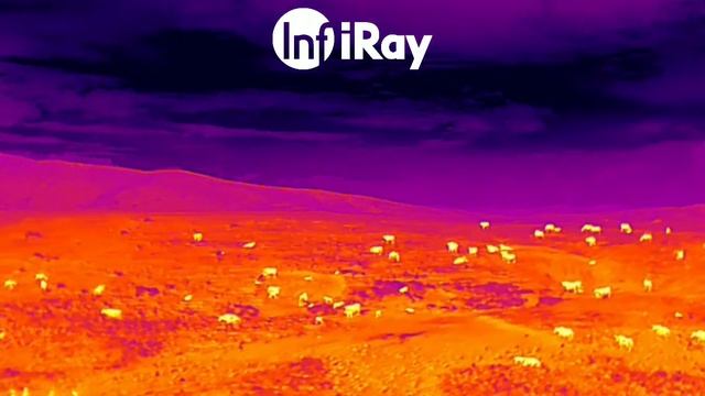 Drone Photography | Thermal Vision | InfiRay смотреть онлайн