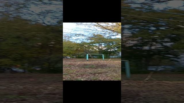 ❗В Курске открылась выставка обуви👞👟 Желающие могут присоединиться 👠👡 #shorts #short #funny