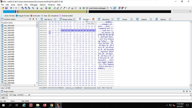 Lab10: Malware Analysis III: Advanced Static Analysis смотреть онлайн