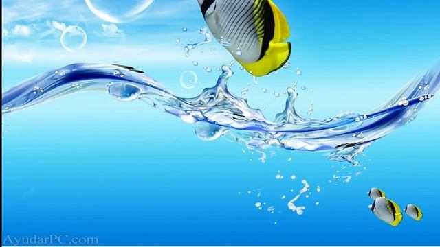 Compartir Impresora en red entre Windows XP y Windows 7 смотреть онлайн