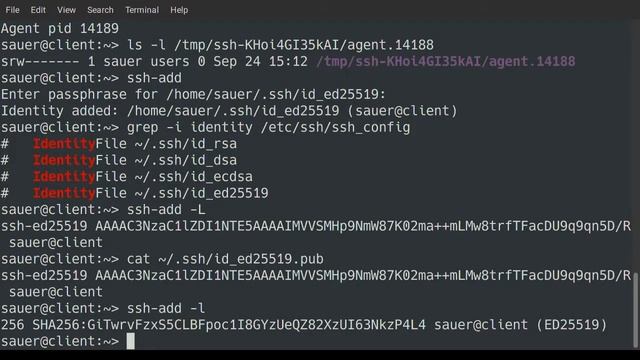 ssh keys and the agents who love them смотреть онлайн