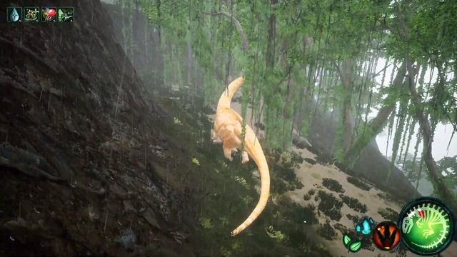 Beasts of Bermuda  Гнездование 3