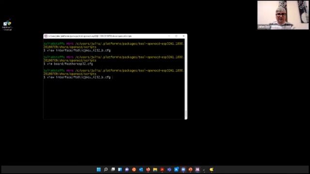 Julian Day JTAG Interface смотреть онлайн