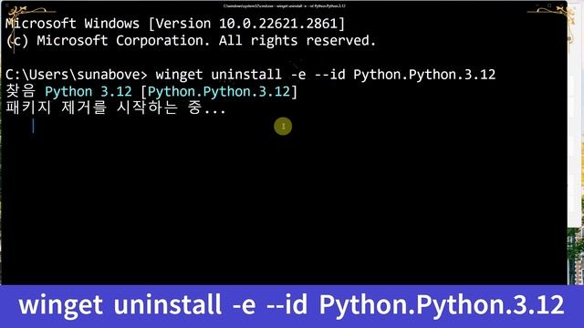 [PYT 02] PyTorch Install using Pip on Windows (윈도우 환경에서 pip를 사용하여 파이토치 설치 방법) смотреть онлайн