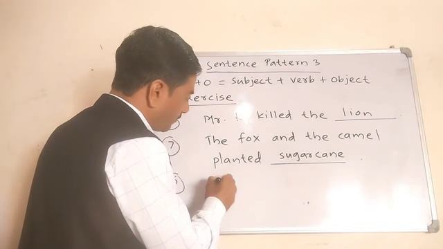 Sentence Pattern 3