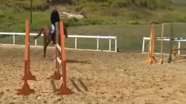 Dobel's Cento x Silbersee Holsteiner - Centina смотреть онлайн