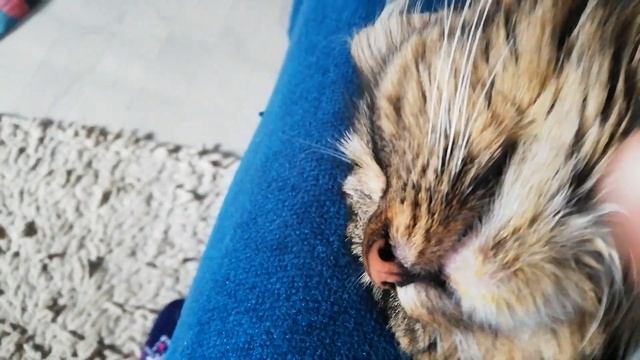 ПРИШЛА И ОСТАЛАСЬ НАВСЕГДА смотреть онлайн