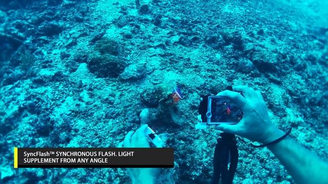 World's First! Underwater iPhone diving case for DIVEVOLK SeaTouch underwater for photography смотреть онлайн