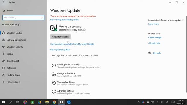 Updating Windows Operating System смотреть онлайн