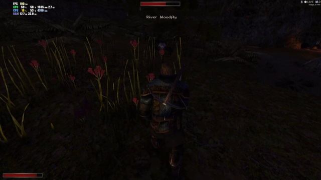 FIGHT CLUB in The Chronicles Of Myrtana: Archolos (Total Overhaul MOD for GOTHIC II,FREE full game смотреть онлайн
