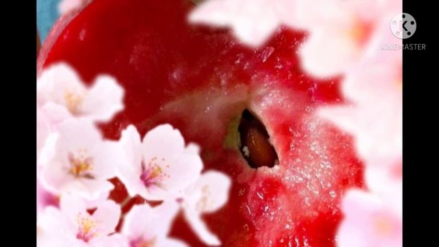 Red love apple||characterstics||market value||apple nutrition value||jai jwan jai kisan смотреть онлайн
