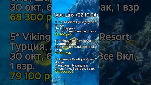 ⭐️⭐️⭐️ТУРЫ ДНЯ (22.10.24)⭐️⭐️⭐️#shorts #отдых #море #отпуск #путешествия