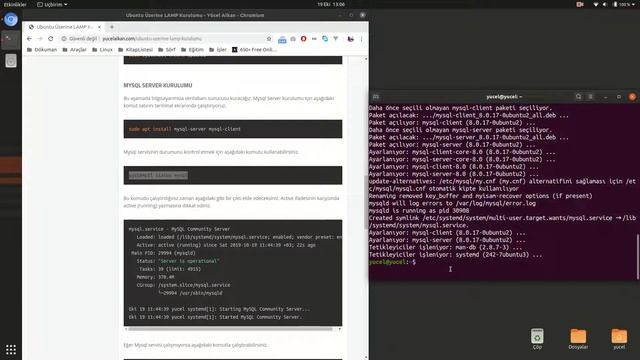 Ubuntu Lamp Kurulumu смотреть онлайн