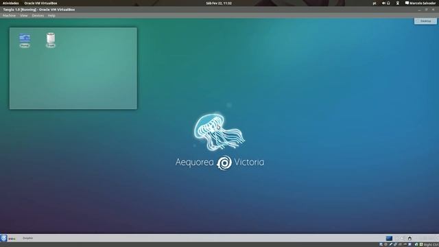 Tanglu 1.0 "Aequorea Victoria" Install and overview | Designed for the desktops of today [HD] смотреть онлайн