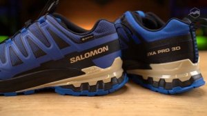 Кроссовки Salomon Xa Pro 3D V9 Gtx. Обзор