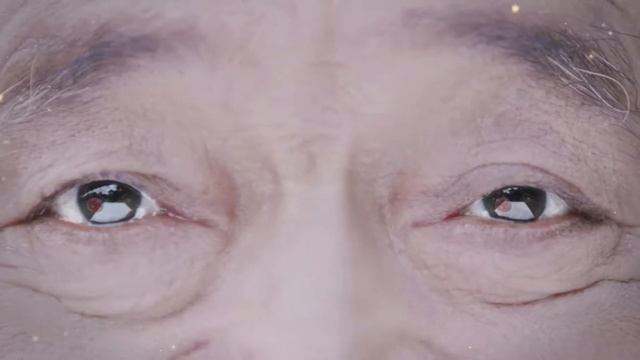 DAU GAC VINAGA 2SP 15S HD KO LOGO смотреть онлайн