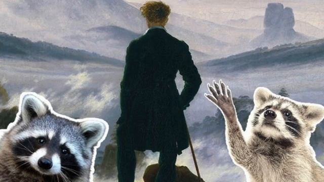 Raconing Racoon Mgtow