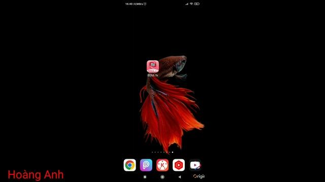 App Live china show full bản mod xem full phòng khóa cho ae смотреть онлайн