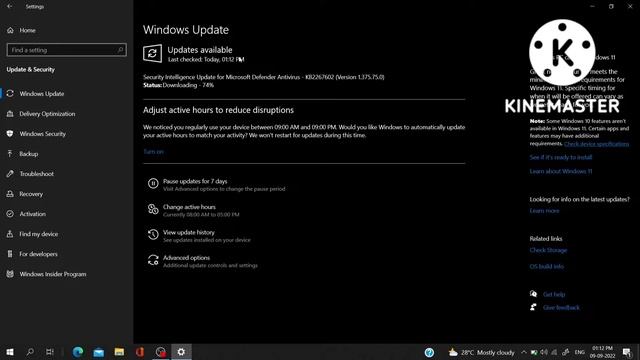 Security Intelligence Update For Microsoft Defender Antivirus - KB2267602 (Version 1.375.75.0) смотреть онлайн