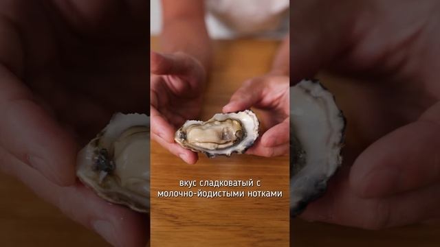 thumb-Устрица живая Baliuje 1шт-3}