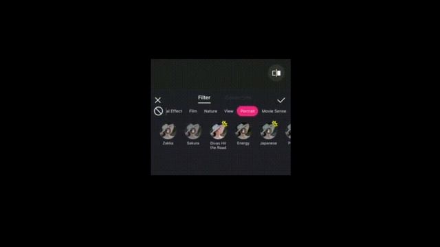 All in one video editor app for iOS version without watermarks or ads-PixArt Studio Pro смотреть онлайн