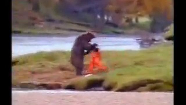 Orso Karate смотреть онлайн