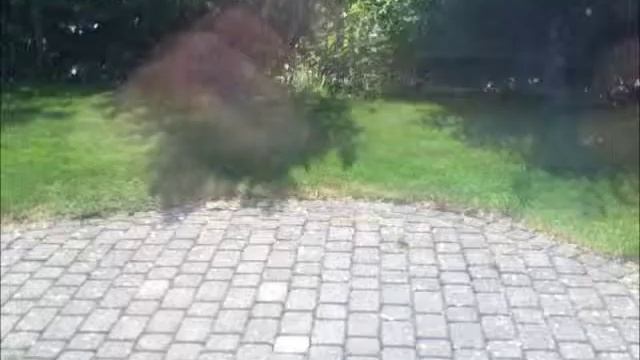 Action Movie FX DEUTSCH смотреть онлайн
