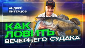 Вечерний судак | Лучшие приманки, особенности клева и поведения | Frapp Geko Slug - новинка 2024