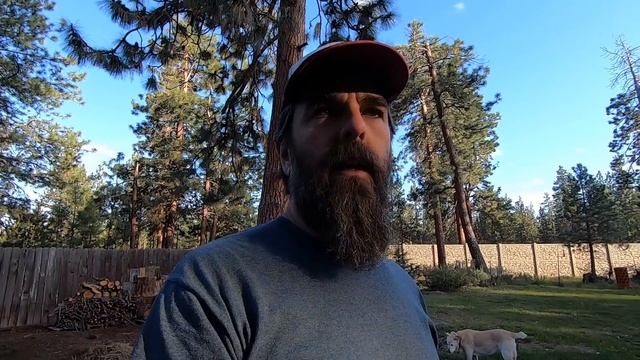 Powers Entire Tiny House! Ecoflow Delta 1300 Power Station смотреть онлайн