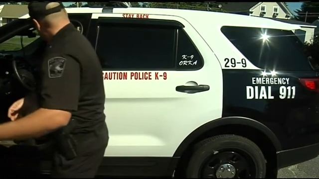 Orange Police Dog Unit gets a new cruiser with donation смотреть онлайн