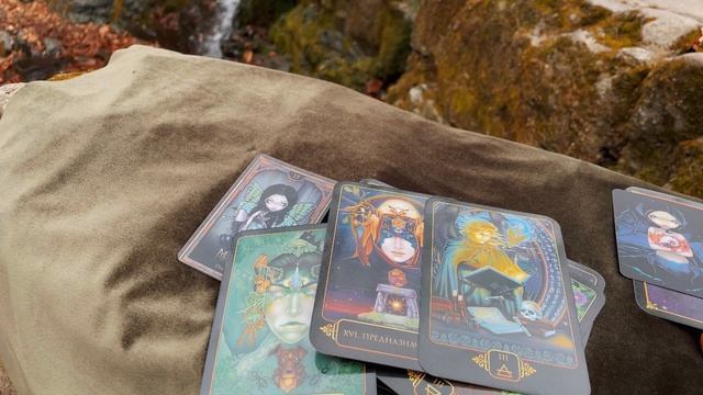 22-10-2024 смотреть онлайн