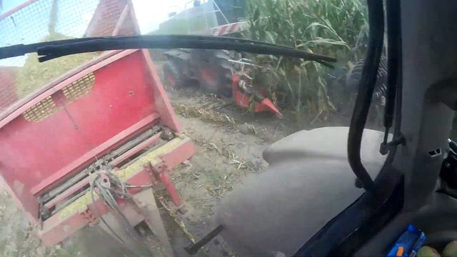 Kiszonka z kamerą na głowie !! CASE 110 !! Class Jaguar !! TYTAN !! AgroKacperson !! смотреть онлайн
