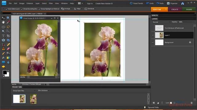 Photoshop Elements Photo Note Card Printing & Setup Windows Canon printers vertical Image смотреть онлайн