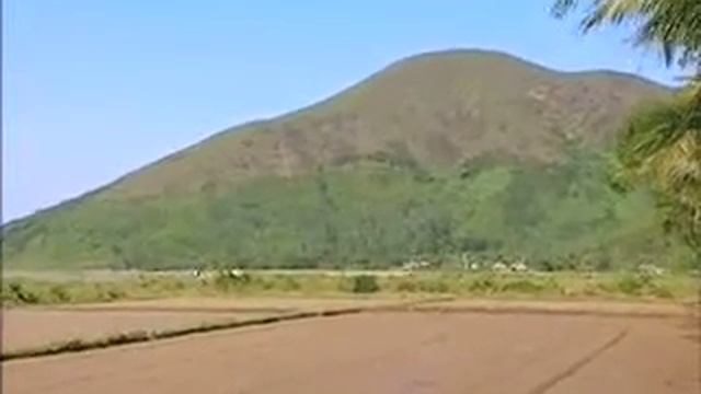 RAI feature on the Spiral Foundation смотреть онлайн