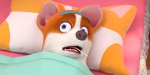 Корги по имени Моко. Простые истории, 40 серия. Трудно быть псом: Часть Первая