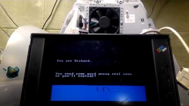Playing with my IBM ThinkPad 365XD смотреть онлайн
