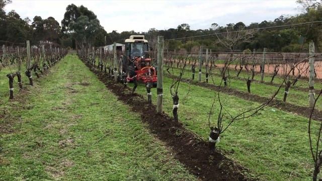 Fischer Flex1 + UTR-50 Dodge Blade смотреть онлайн