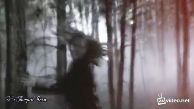 klaus and caroline смотреть онлайн