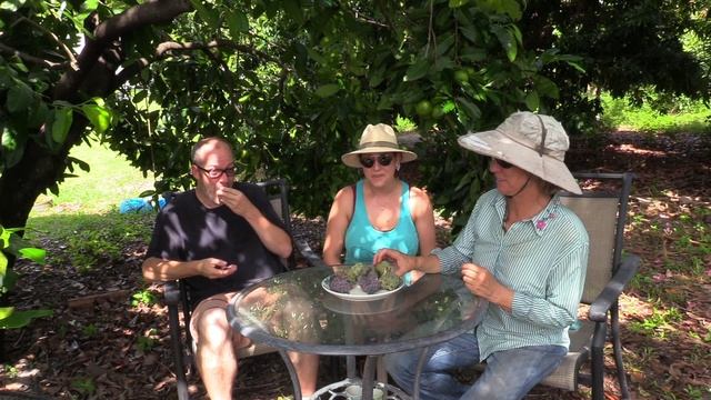 Truly Tropical Tasting Table- Red vs Green Sugar Apples смотреть онлайн