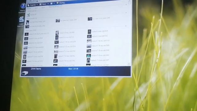 Windows Vista build 5231 VMware Workstation Part 4 смотреть онлайн