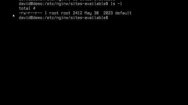Installing the NGINX web server смотреть онлайн