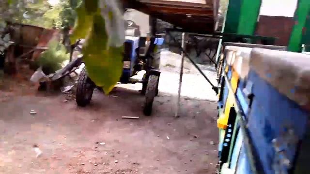 асаларичилик Asalarichilik