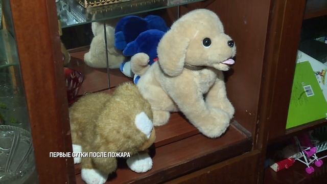 НОВОСТИ от 13 февраля 2019 смотреть онлайн