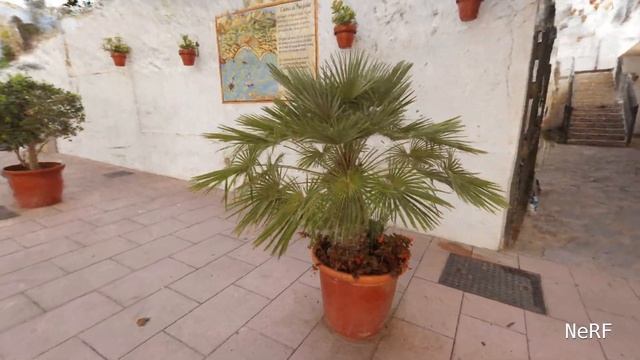 3D Scan of Palm Tree - NeRF Photogrammetry Comparison смотреть онлайн