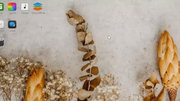 Puppy Linux: Install Google Chrome