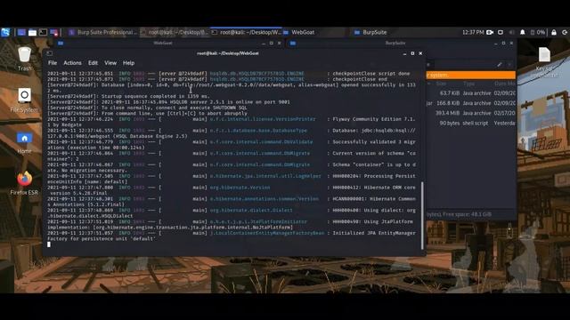 1-Start Burp suite and login WebGoat смотреть онлайн