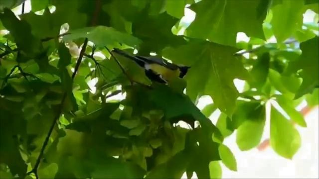 Женская доля Муз Н Жукова,ст В Кузавка,поет Г Погорельская Кислякова ==== mp4 смотреть онлайн