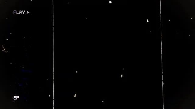 VHS Aesthetic Effect Black Screen Overlay effect | AESTHETIC ❤️ PLAY VHS/SOURCE [Android/ios] смотреть онлайн