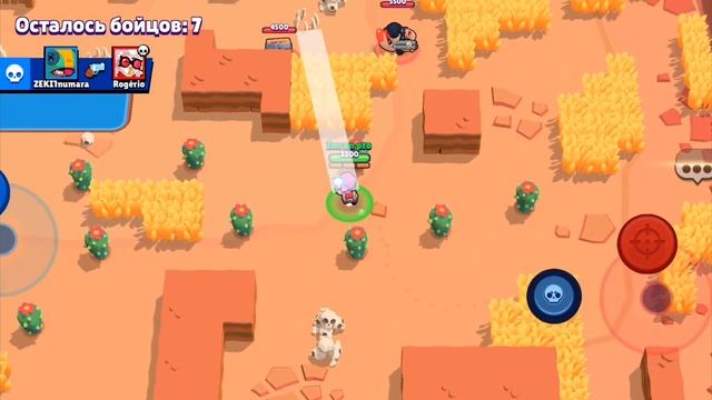 Apple 20 ранг на пенни без силы первая часть