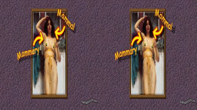 (3D VR) Mammaries on Animals means Mammals (011)(3-D) As seen on EARTHOVISION смотреть онлайн